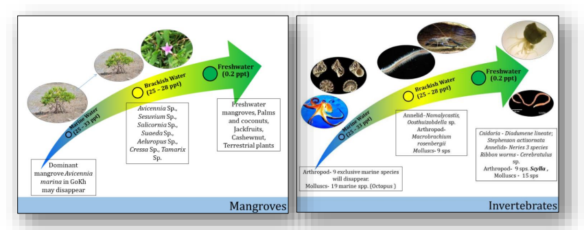 Schematic diagram showing probable change in Species Composition